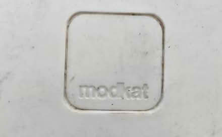 Photo of free Modkat (Medford ma) #3
