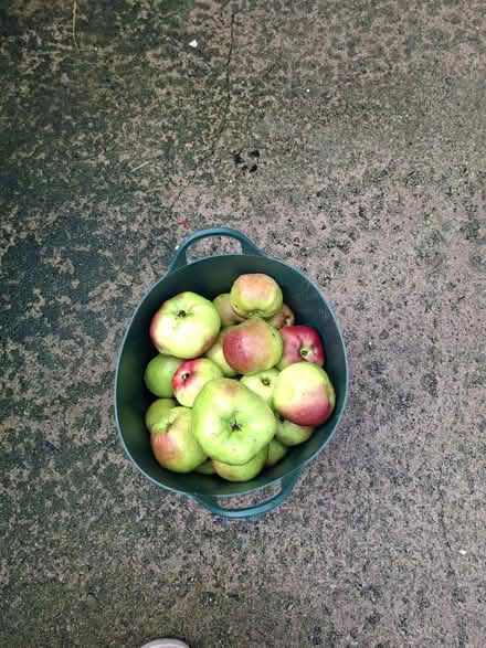 Photo of free Produce (Appleby-in-Westmorland CA16) #2