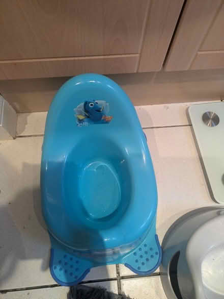 Photo of free Potty (Bury, BL9) #3