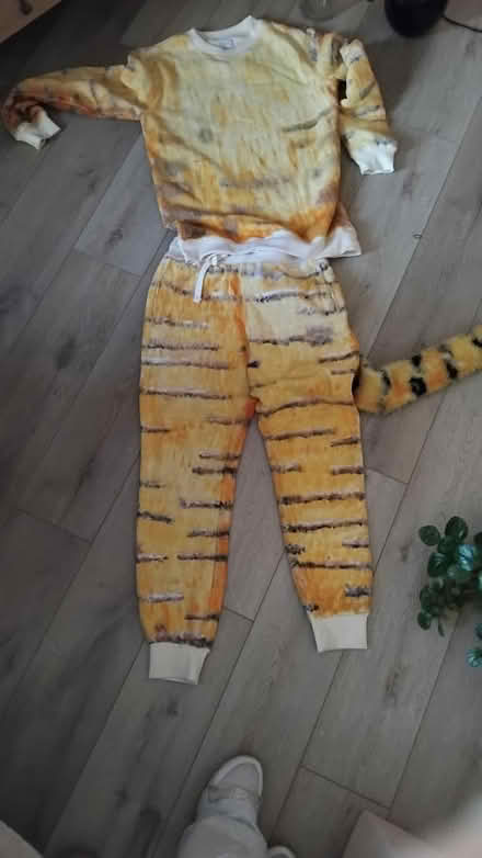 Photo of free Hand made costumes (Dumbiedykes EH8) #2