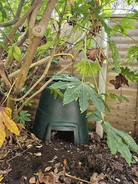 Photo of free Compost bin plus compost (Tolworth KT6) #1