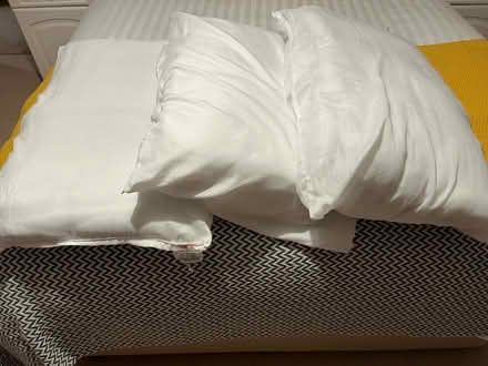 Photo of free Pillows (Keighley BD20) #1