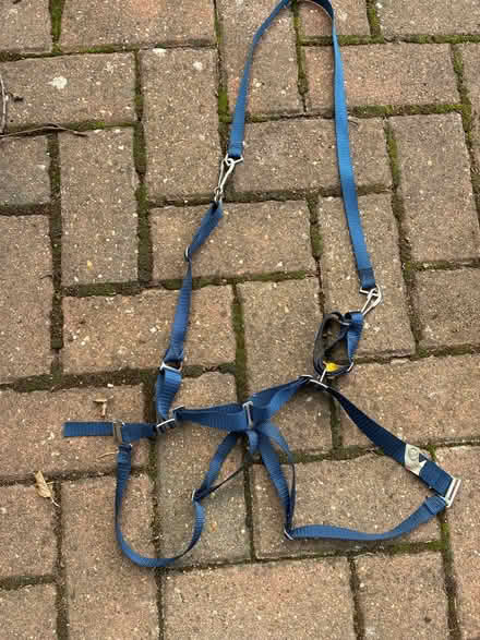 Photo of free Child brace? (Hitchin SG4) #1
