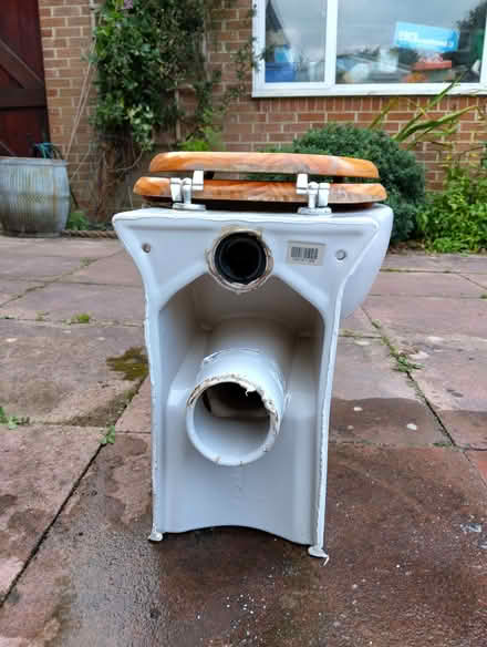 Photo of free None Standard Shape Toilet & Cistern/Quirky Planter (Pierremont DL3) #4