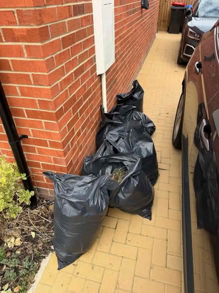Photo of free Soil (Braintree CM77) #1