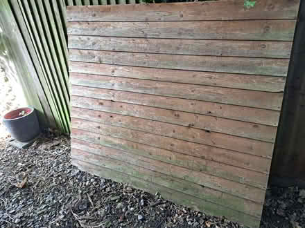 Photo of free Fence/shed panel (St Ann's Wells Gardens area BN3) #1