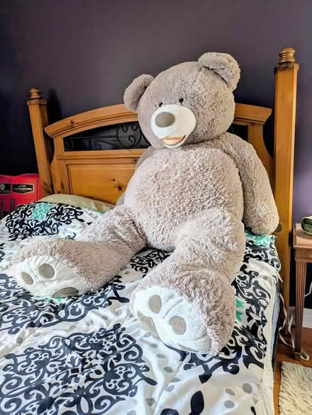 Photo of free Big (really big) teddy bear (Hazeldean/Castlefrank area) #1