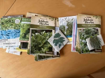 Photo of free Lots of seeds, out of date (Manningtree CO11) #1