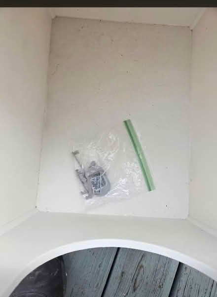 Photo of free Modkat (Medford ma) #2