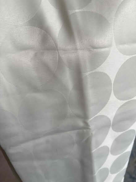 Photo of free Shower curtain (Chippenham SN14) #2