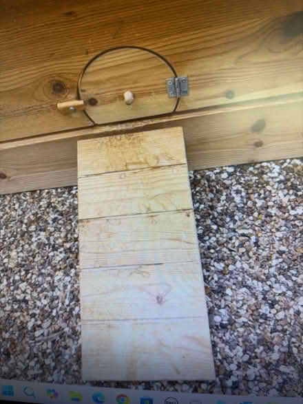 Photo of free Indoor guinea pig cage (Weybridge KT13) #1