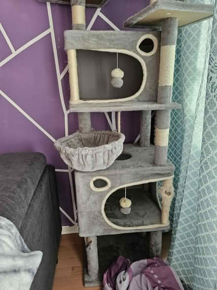 Photo of free Cat tree (Hayes UB4) #2