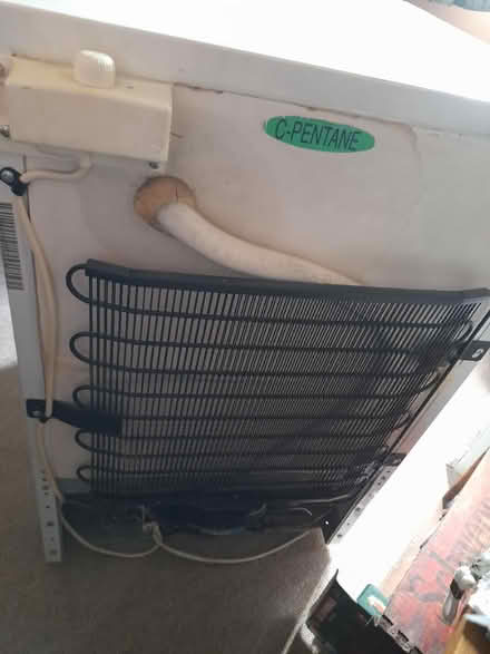 Photo of free Hotpoint freezer (Larkhall, Bath BA1) #4