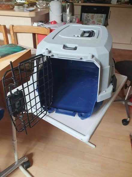Photo of free Cat basket (Lewes, BN7) #4