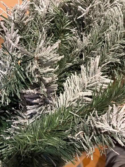Photo of free 6ft Xmas tree plus dex (Cradley WR13) #1