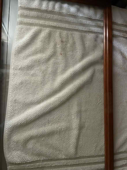 Photo of free Glass tray with antique handles (Neyagawa river glen, oakville.) #2