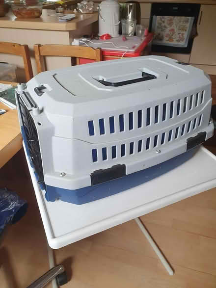 Photo of free Cat basket (Lewes, BN7) #3