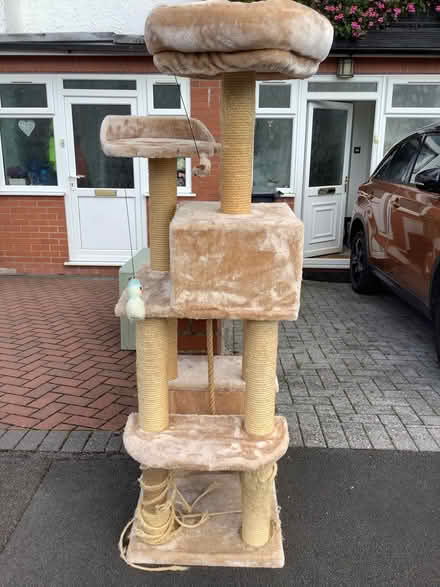 Photo of free Cat tower (Birchgrove CF14) #1