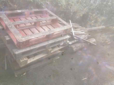 Photo of free Assorted wood (hillsborough S6) #1