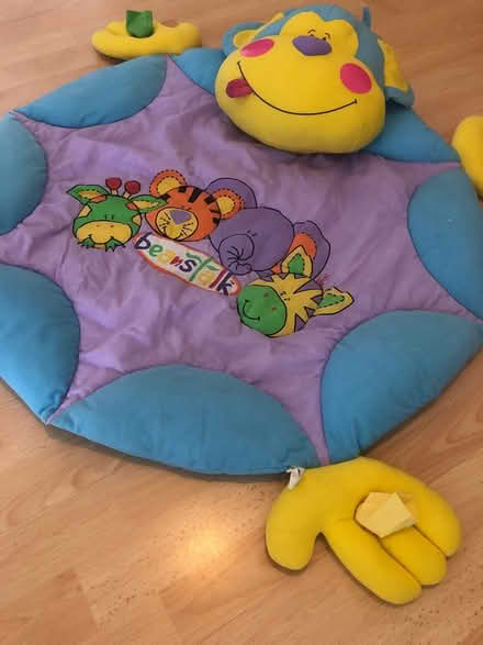 Photo of free Beanstalk Playmat/baby gym (Caversham RG4) #2