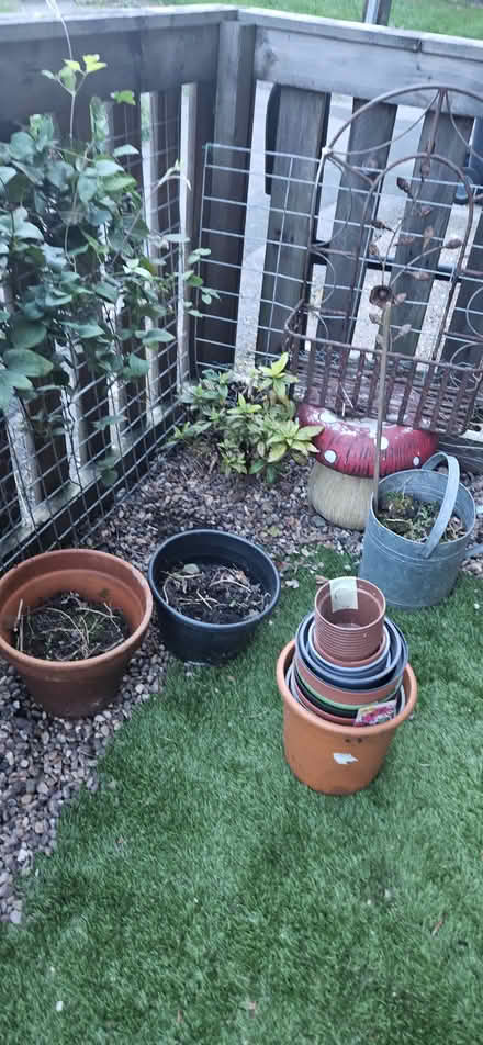 Photo of free Plant Pots (Bramley LS13) #1