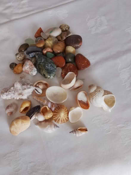Photo of free stones and shells (Whoberley CV5) #1