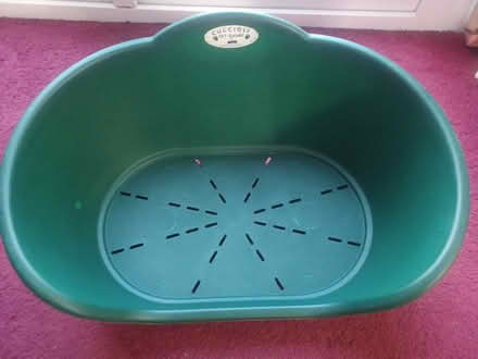 Photo of free "Cuccioli" Dog Bed. Green (Kingswinford DY6) #1