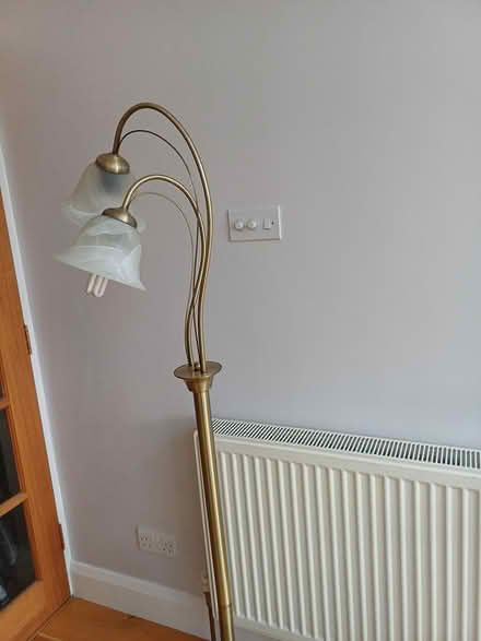 Photo of free Standard Lamp (Sunbury in Thames. TW166NF) #1