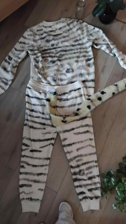 Photo of free Hand made costumes (Dumbiedykes EH8) #3