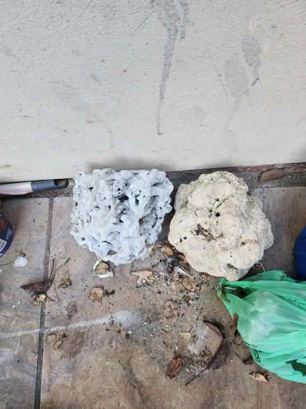 Photo of free Coral stones ornamental (Forest Gate E7) #2