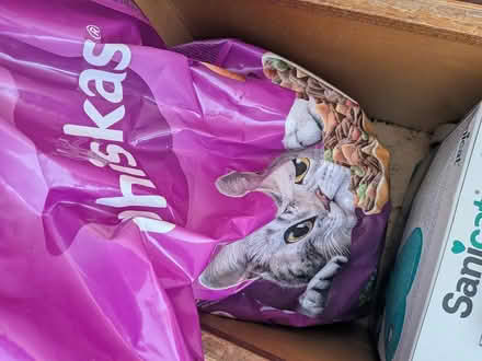 Photo of free Cat stuff job lot (SE21 West Dulwich) #3