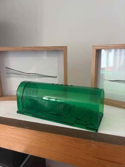 Photo of free 12x Humane Mouse Traps (Walthamstow) #1