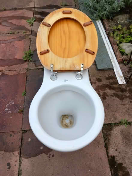 Photo of free None Standard Shape Toilet & Cistern/Quirky Planter (Pierremont DL3) #1