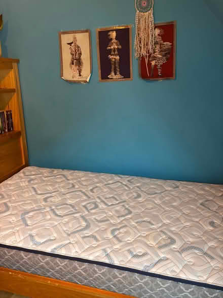 Photo of free Wooden Bed Frame (Single) (Dolbeare TQ13) #2