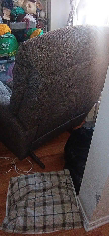 Photo of free Easy chair (East Beechwood area) #3