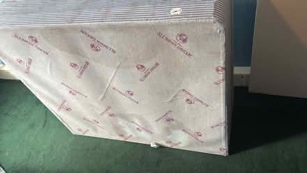 Photo of free Single divan bed and mattress (Forest Hill SE23) #4
