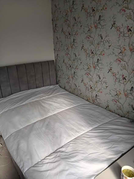 Photo of free Single Duvet 10.5 Tog (Whitefield M45 (Besses)) #2
