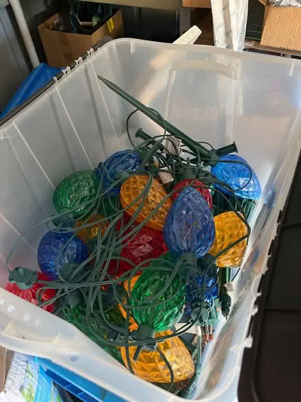Photo of free Holiday lawn lights (Oradell) #1