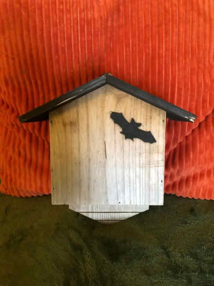 Photo of free Bat box (Edgeside BB4) #1