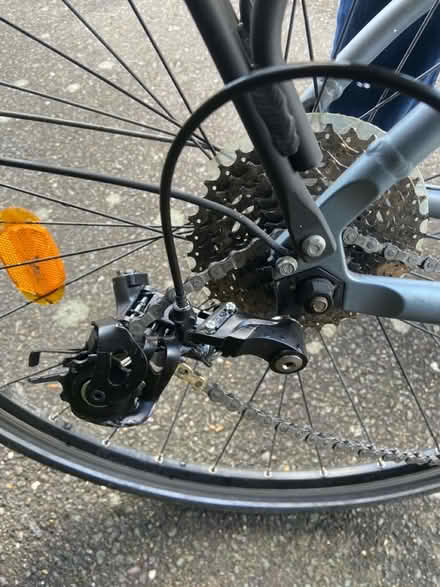 Photo of free Elops bicycle (Cell Barnes lane AL1) #2