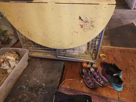 Photo of free Dropleaf table and chairs (Earlham NR5) #2