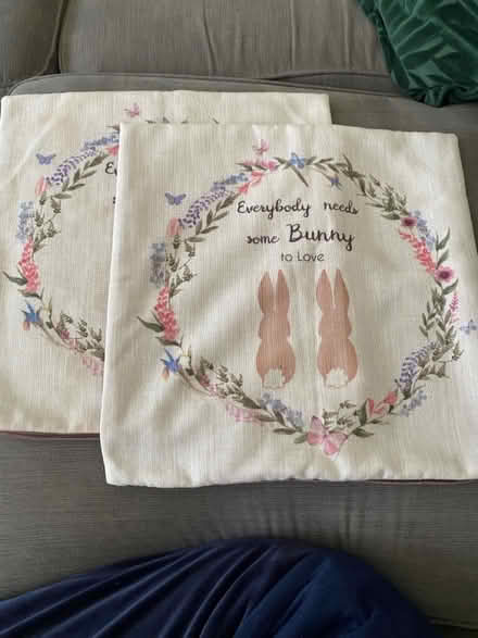 Photo of free 2 cushion covers (Mangotsfield BS165) #1