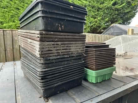 Photo of free Seed trays (Chigwell IG7) #1