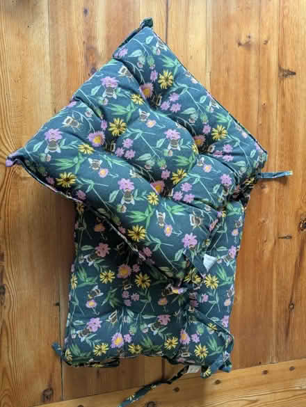 Photo of free 2 shower resistant outdoor cushions (Teddington TW11) #1