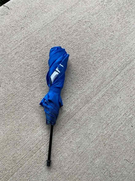 Photo of free Blue jays umbrella (Winston Churchill/collegeway) #3