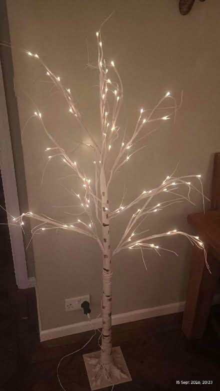Photo of free Light up tree (Gl52) #1