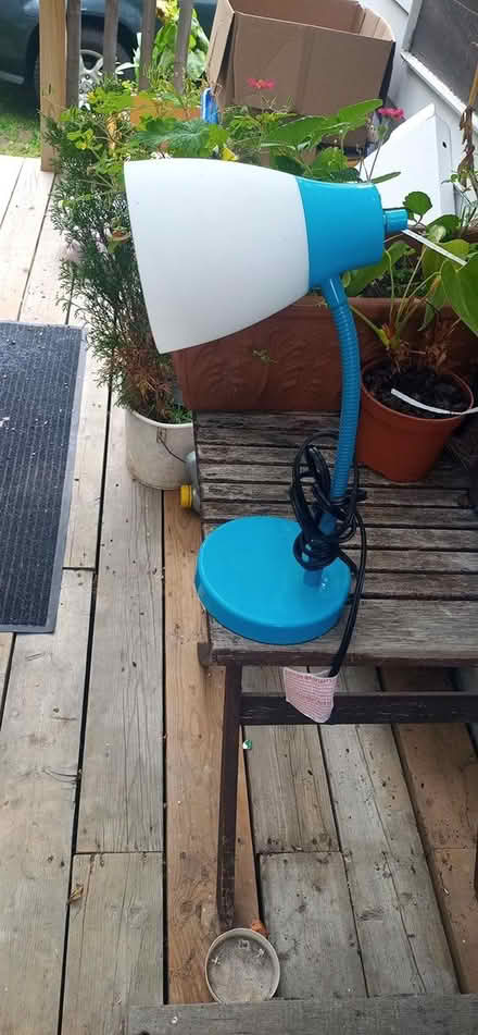 Photo of free Blue lamp (East Beechwood area) #1
