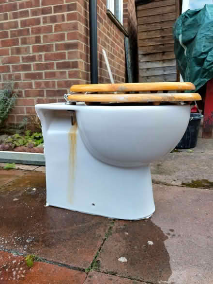 Photo of free None Standard Shape Toilet & Cistern/Quirky Planter (Pierremont DL3) #3