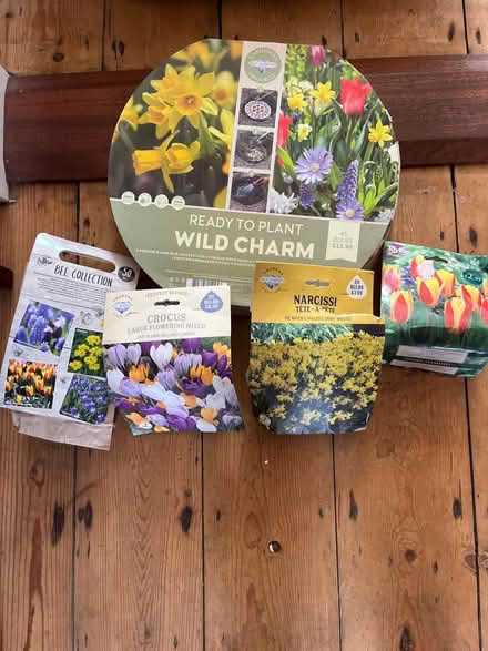 Photo of free Various flower bulbs (Avon Street CV34) #1