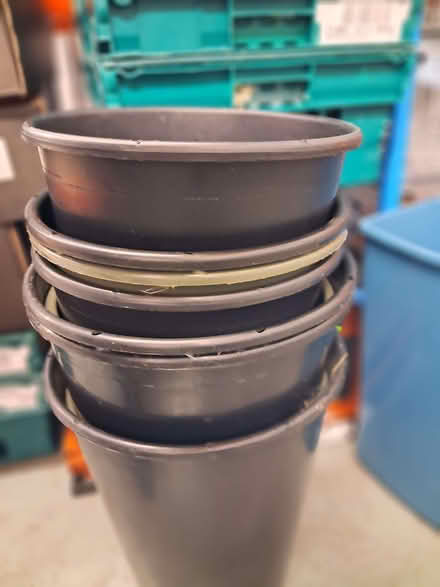 Photo of free Cardboard boxes, plastic crates, plastic buckets (Gobowen SY11) #4